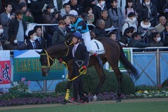 20200105 中山5R 3歳1勝クラス ルトロヴァイユ 16