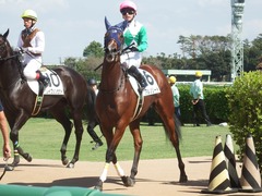20190928 中山5R 2歳牝馬メイクデビュー アルソリート 17