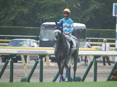 20190810 新潟7R 3歳1勝クラス ウェディングベール 12