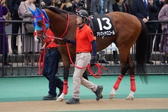 20191124 東京10R ウェルカムS (3勝) アドマイヤスコール 01
