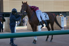 20200105 中山7R 4歳上1勝クラス ヤップヤップヤップ 20