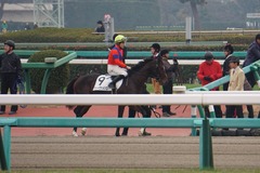 20191222 中山2R 2歳未勝利 ヴィーヴァメジロ 17