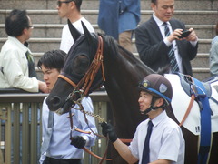20190601 東京6R 3歳未勝利 マルニ 07