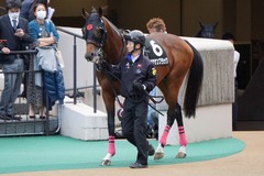 20191124 東京10R ウェルカムS (3勝) オウケンブラック 02