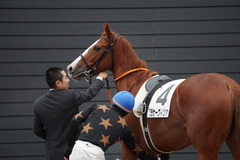 20191207 中山12R 3歳上2勝クラス クラサーヴィツァ 22