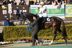 20200202 東京10R 早春S (3勝クラス) ミッキーバード 10