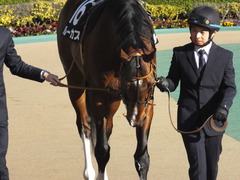 20200208 東京11R 節分S(4歳上3勝クラス) ルーカス 02