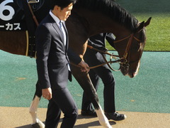 20200208 東京11R 節分S(4歳上3勝クラス) ルーカス 09