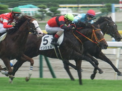 20190810 新潟7R 3歳上1勝クラス ピンシェル 29
