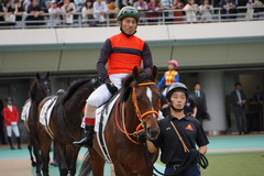 20191020 東京8R 3歳上1勝クラス ピンシェル 20
