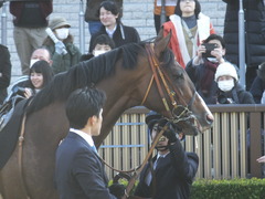 20200208 東京11R 節分S(4歳上3勝クラス) ルーカス 12