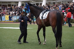 20200112 中山12R 4歳上3勝クラス アドマイヤシナイ 13