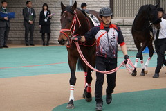 20200215 東京4R 3歳1勝クラス ベイサイドブルー 07