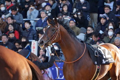 20191228 中山10R 立志S(3勝クラス) ルーカス 10