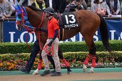 20191124 東京10R ウェルカムS (3勝) アドマイヤスコール 02