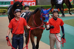 20191124 東京10R ウェルカムS (3勝) アドマイヤスコール 03