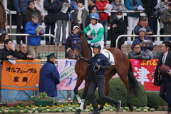 20191215 中山4R 2歳未勝利 アルソリート 11