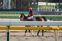 20200202 東京10R 早春S (3勝クラス) ホウオウドリーム 27