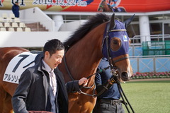 20191215 中山4R 2歳未勝利 アルソリート 04