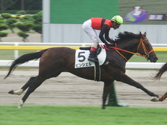 20190810 新潟7R 3歳上1勝クラス ピンシェル 27