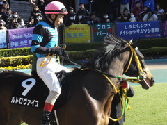 20200209 東京9R ゆりかもめ賞 3歳1勝クラス ルトロヴァイユ 14