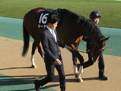 20200208 東京11R 節分S(4歳上3勝クラス) ルーカス 03