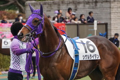 20200215 東京3R 3歳未勝利 シゲルタイタン 14