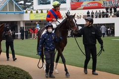 20191222 中山2R 2歳未勝利 ヴィーヴァメジロ 15