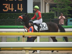 20190601 東京7R 3歳牝馬1勝 ラプターゲイル 12