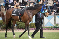 20200125 中山10R 東雲賞(3勝) アドマイヤシナイ 12