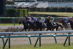 20200105 中山2R 3歳未勝利 セイウンヒロイン 17