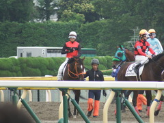 20190609 東京7R 3歳上1勝 ピンシェル 30