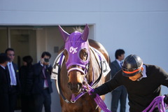 20200105 中山2R 3歳未勝利 セイウンヒロイン 14