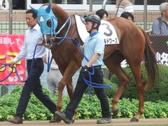 20190908 中山7R 3歳上1勝クラス ヴァルドワーズ 03