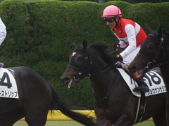 20190518 東京5R 3歳未勝利 ショウナンサジン 18