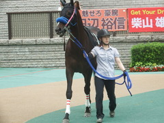 20190608 東京9R 八丈島特別 1勝 ミッキーバード 03