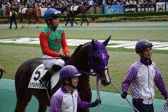 20191027 東京3R 2歳未勝利 シゲルタイタン 15