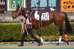 20200215 東京4R 3歳1勝クラス ベイサイドブルー 02