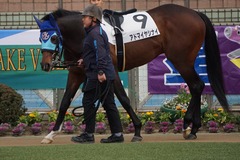 20200112 中山12R 4歳上3勝クラス アドマイヤシナイ 05