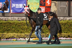 20200202 東京9R セントポーリア賞 3歳1勝クラス ラグビーボーイ 16