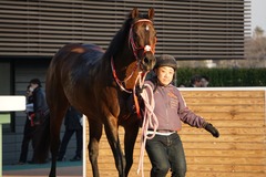 20200111 中山11R 迎春S (3勝クラス) ホウオウドリーム 33