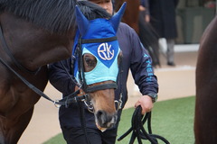 20200112 中山12R 4歳上3勝クラス アドマイヤシナイ 09