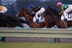 20191207 中山12R 3歳上2勝クラス クラサーヴィツァ 19