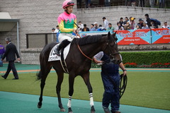 20191014 東京5R 2歳メイクデビュー ミヤコシャンティ 16