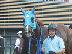 20190908 中山7R 3歳上1勝クラス ヴァルドワーズ 20