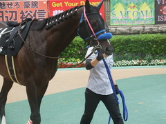 20190608 東京9R 八丈島特別 1勝 ミッキーバード 08