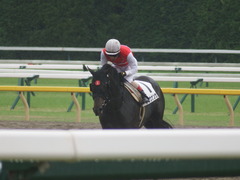 20190622 東京3R 3歳未勝利 ショウナンサジン 19