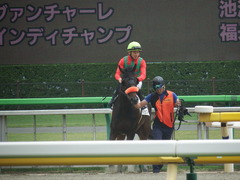 20190601 東京7R 3歳牝馬1勝 ラプターゲイル 13
