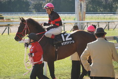 20200202 東京10R 早春S (3勝クラス) ホウオウドリーム 23