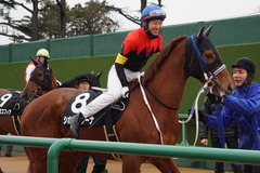 20200118 中山9R 菜の花賞 3歳牝馬1勝クラス シホノレジーナ 18